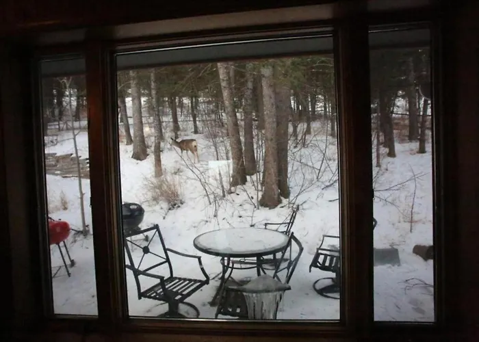 Holiday home Secluded Nestled In Woods Of Snow King Mountain Near Hole