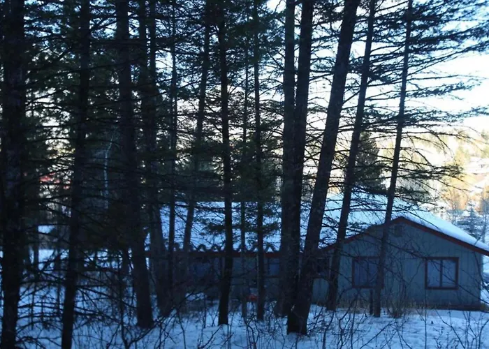 Secluded Nestled In Woods Of Snow King Mountain Near Hole * Jackson