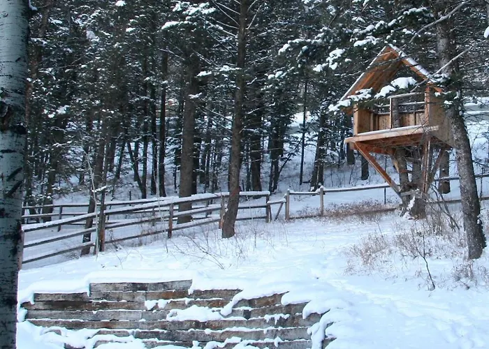 Secluded Nestled In Woods Of Snow King Mountain Near Hole * Jackson